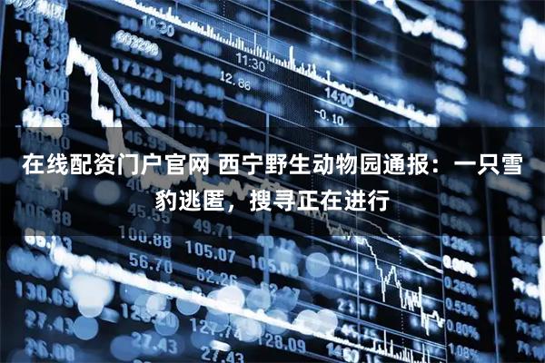 在线配资门户官网 西宁野生动物园通报：一只雪豹逃匿，搜寻正在进行