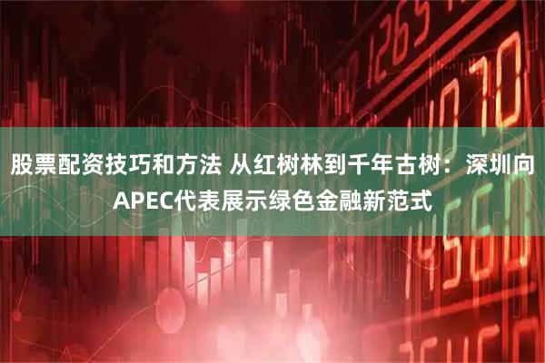 股票配资技巧和方法 从红树林到千年古树：深圳向APEC代表展示绿色金融新范式