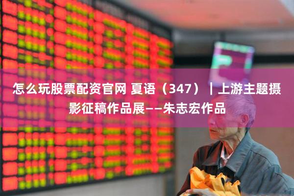 怎么玩股票配资官网 夏语（347）｜上游主题摄影征稿作品展——朱志宏作品